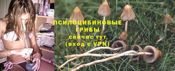 марки lsd Верея