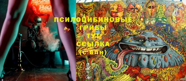 молекула духа Верхний Тагил
