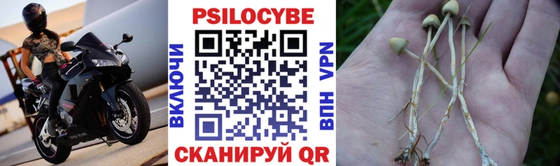 Псилоцибиновые грибы прущие грибы  Купить закладки  Чапаевск 